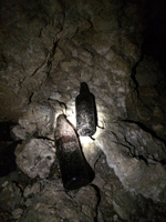 洞窟内のビール瓶